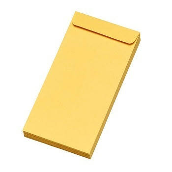 11x5 Envelope 1 Colour