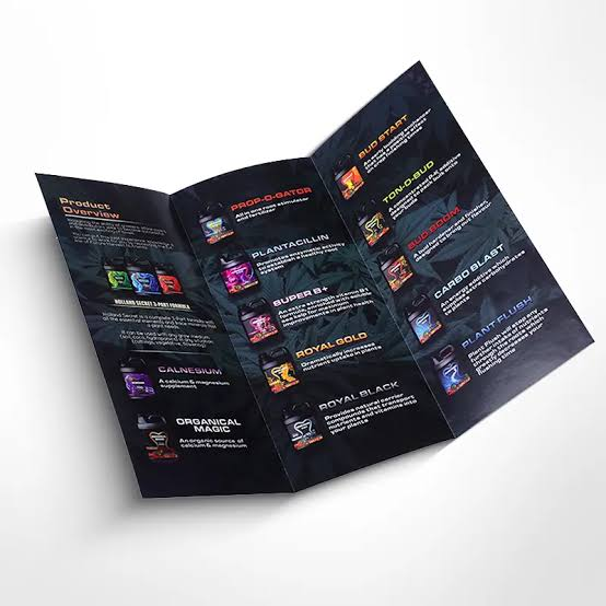 Brochure Tri-Fold 350GSM Spot UV
