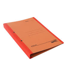Regular Spring File